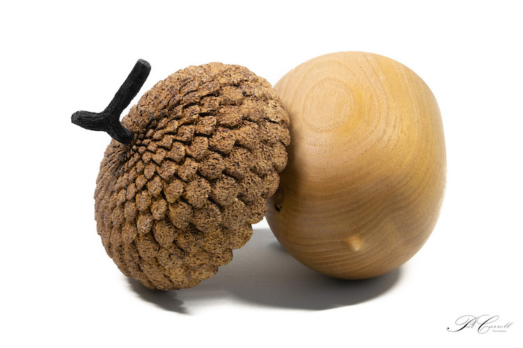 Pine Conejpg