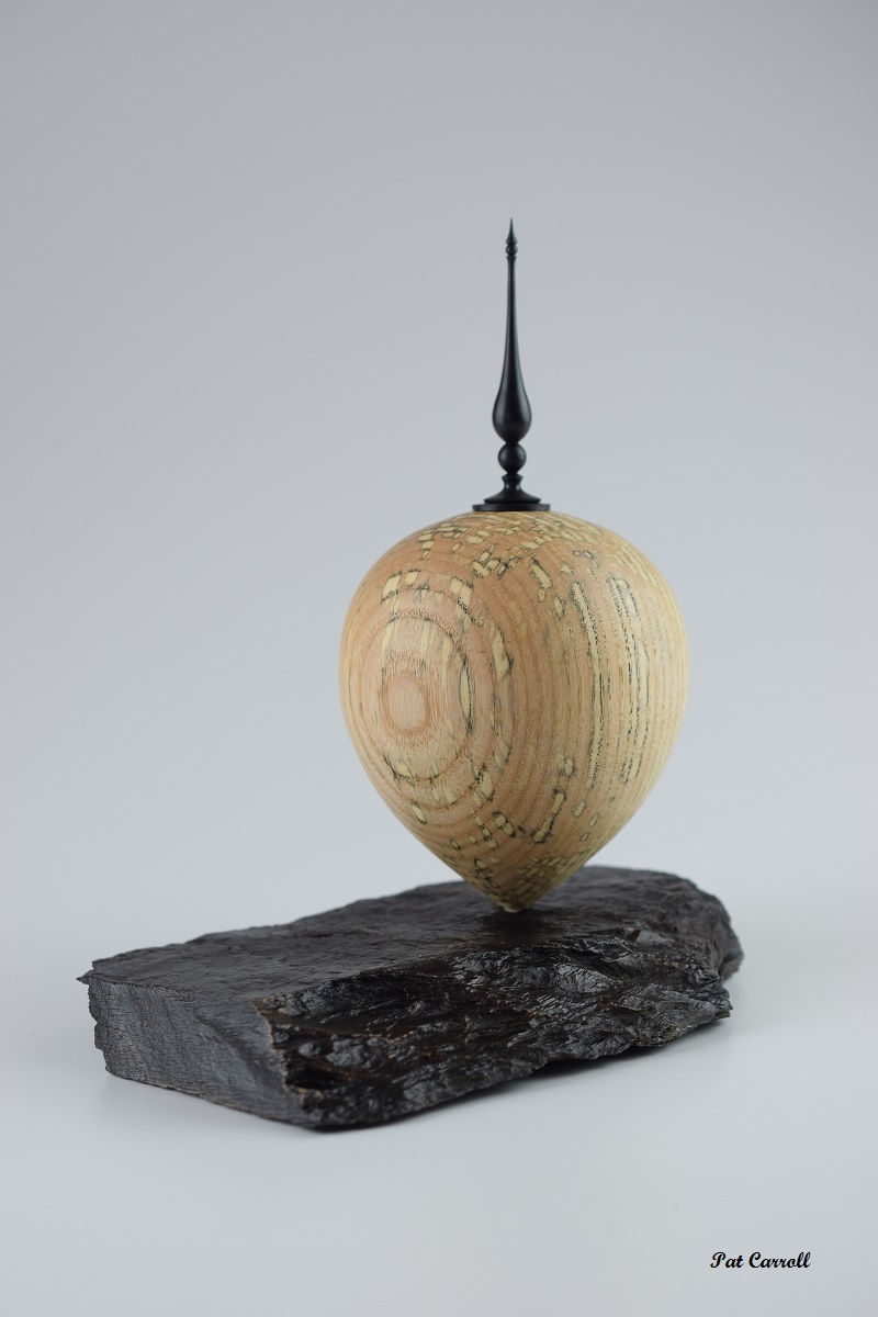 Hollow Form