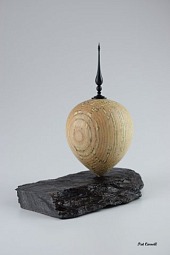Ash_hollow_form_on_slate.jpg